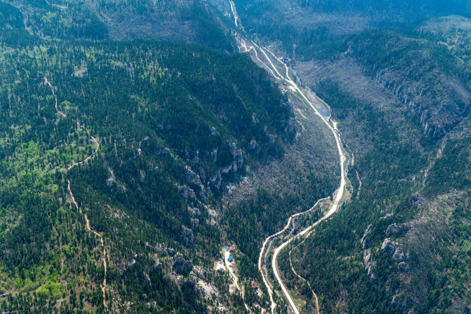 This image provided by EcoFlight shows an aerial view of a road winding through the pine-covered Bl...