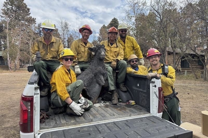 This Thursday, Aug. 14, 2025, image provided by the U.S. Forest Service shows resource advisors wit...
