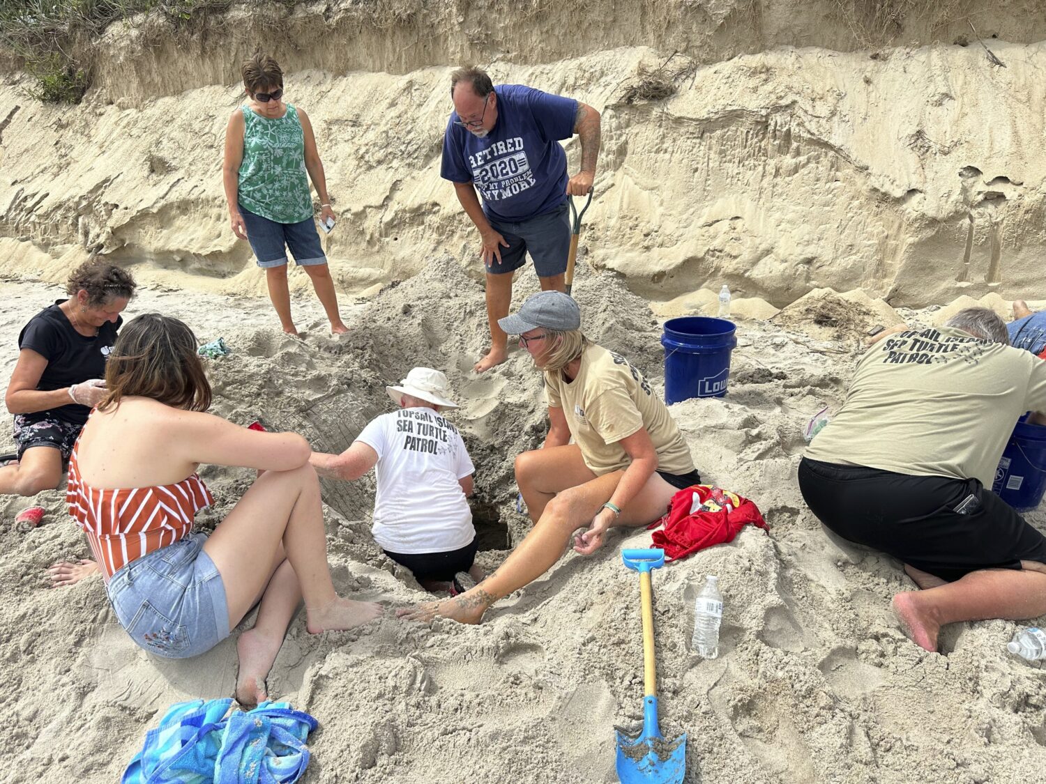 Volunteers from the Karen Beasley Sea Turtle Rescue and Rehabilitation Center search for sea turtle...