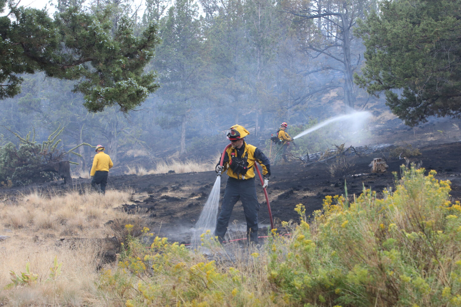 Western Lane and Eugene Springfield Fire Department crews work together on a mop up operation near ...
