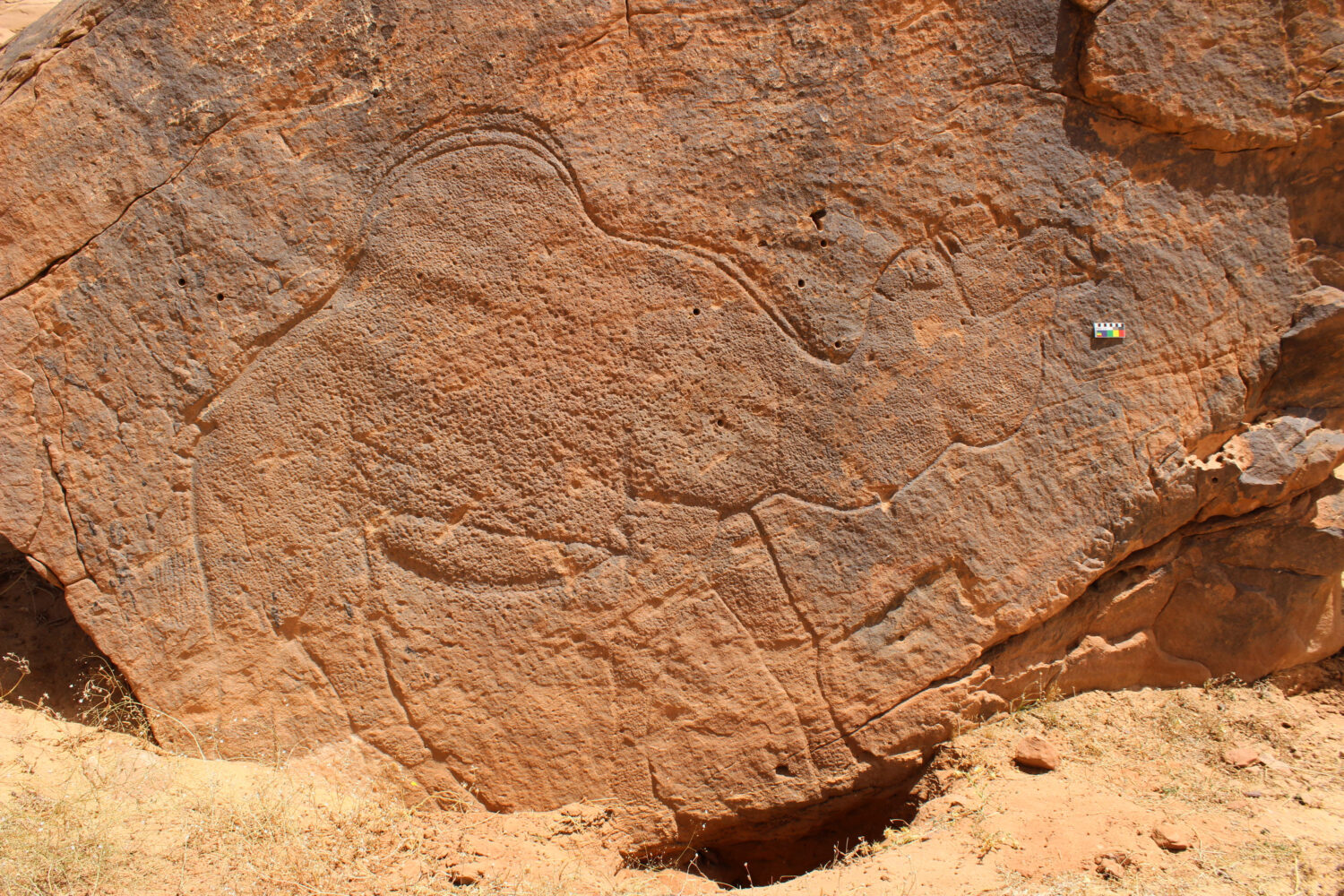 This image provided by Sahout Rock Art and Archaeology Project shows a life-size rock carving of a ...