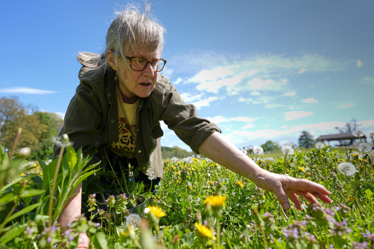 Iris Weaver reaches for a plant while teaching a class on foraging, May 8, 2025, in Wenham, Mass. (...
