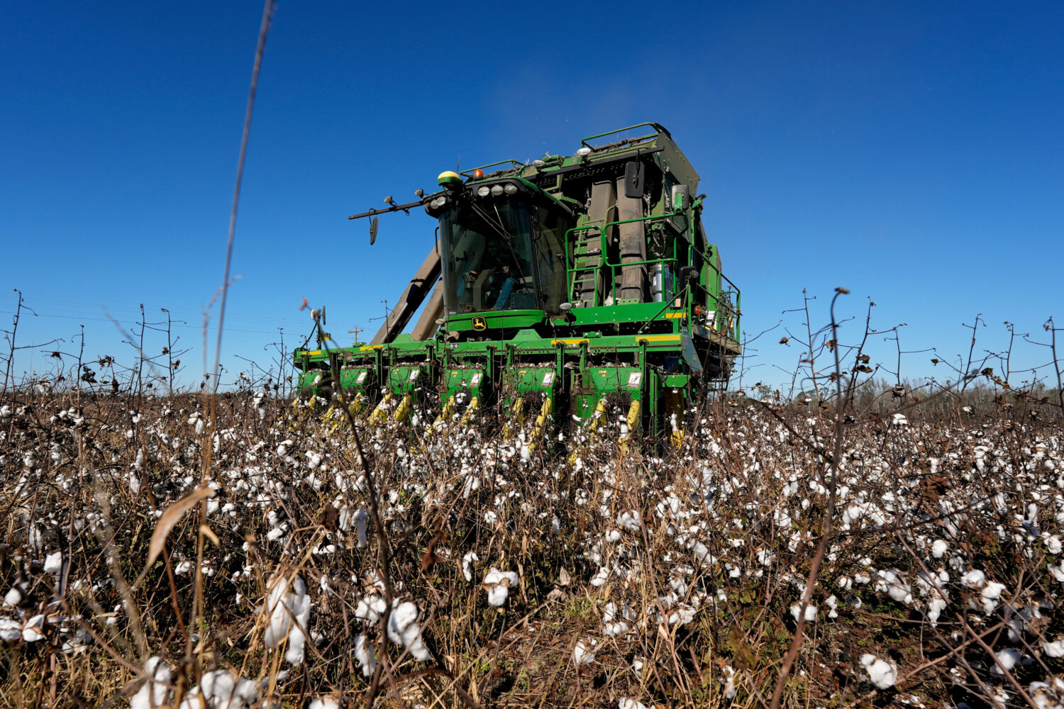 FILE - A cotton picker moves through Chris Hopkins' cotton field, Dec. 6, 2024, near Lyons, Ga. (AP...