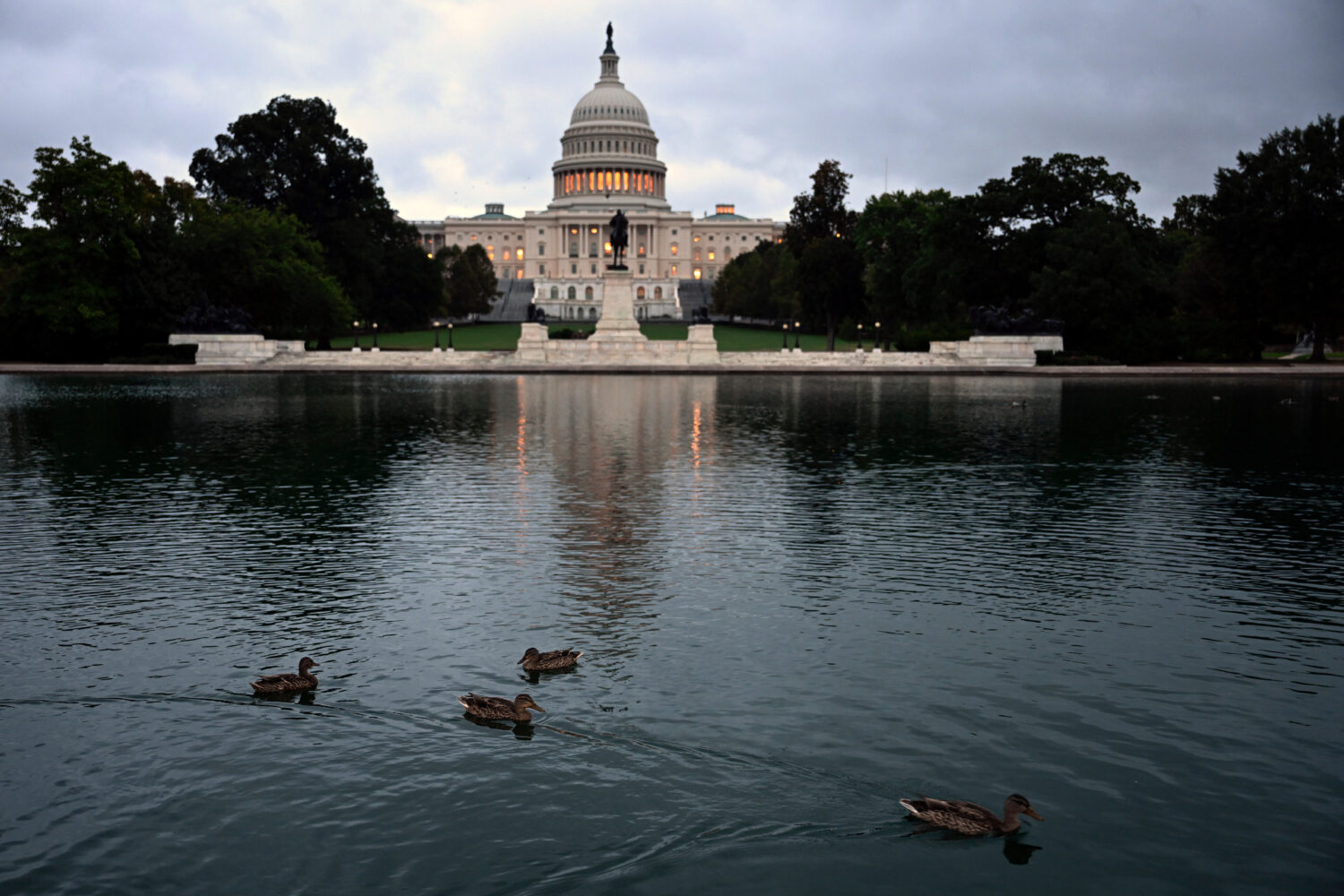 Ducks swim at daybreak in the U.S. Capitol Reflecting Pool during the 8th day of the government shu...