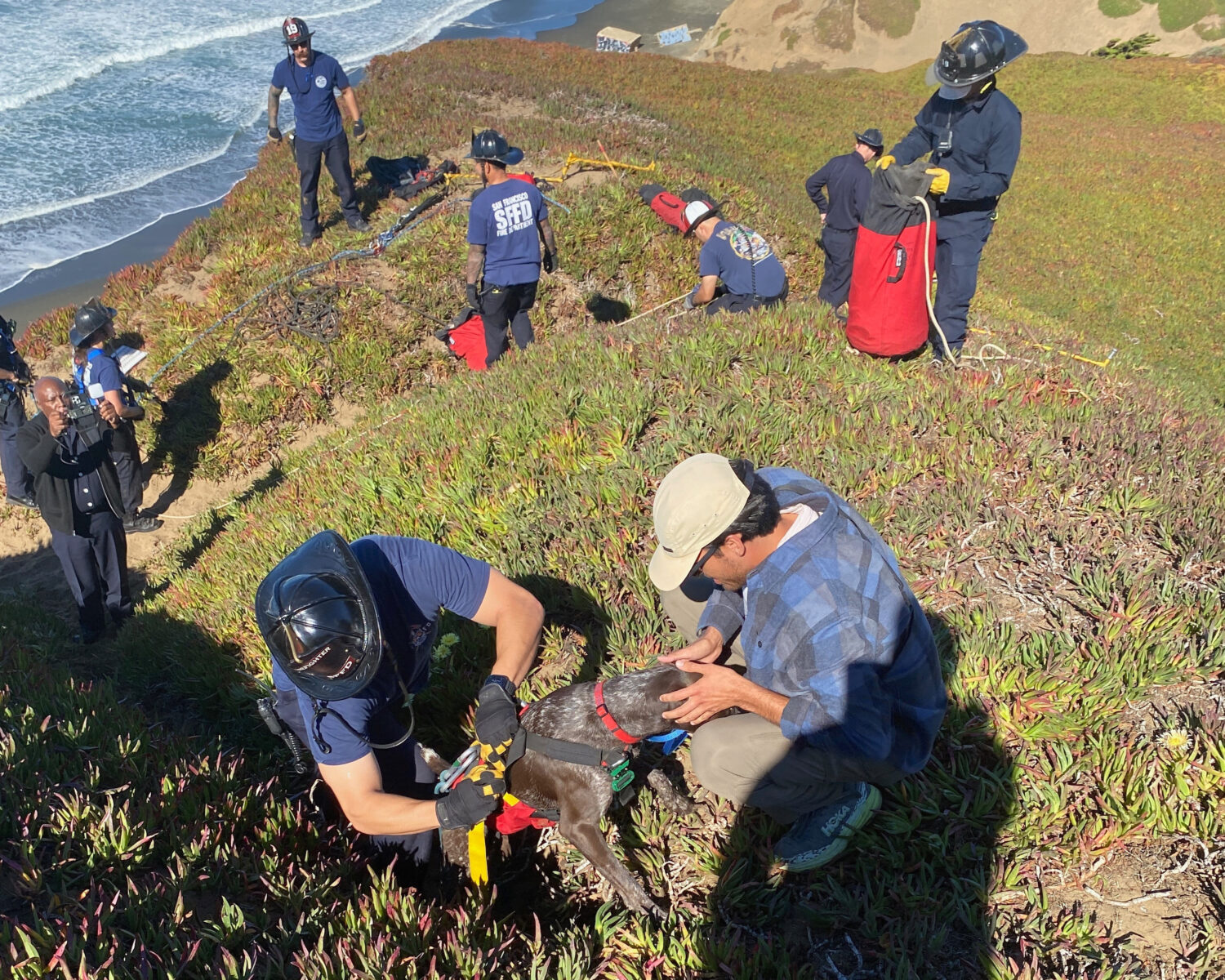 This photo provided by the San Francisco Fire Department shows the owner of a dog greeting his pooc...