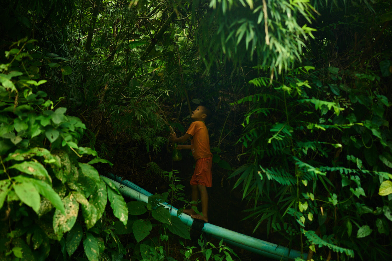 A child refugee from Myanmar stands on a water pipe while foraging for food in a forest near the Ma...