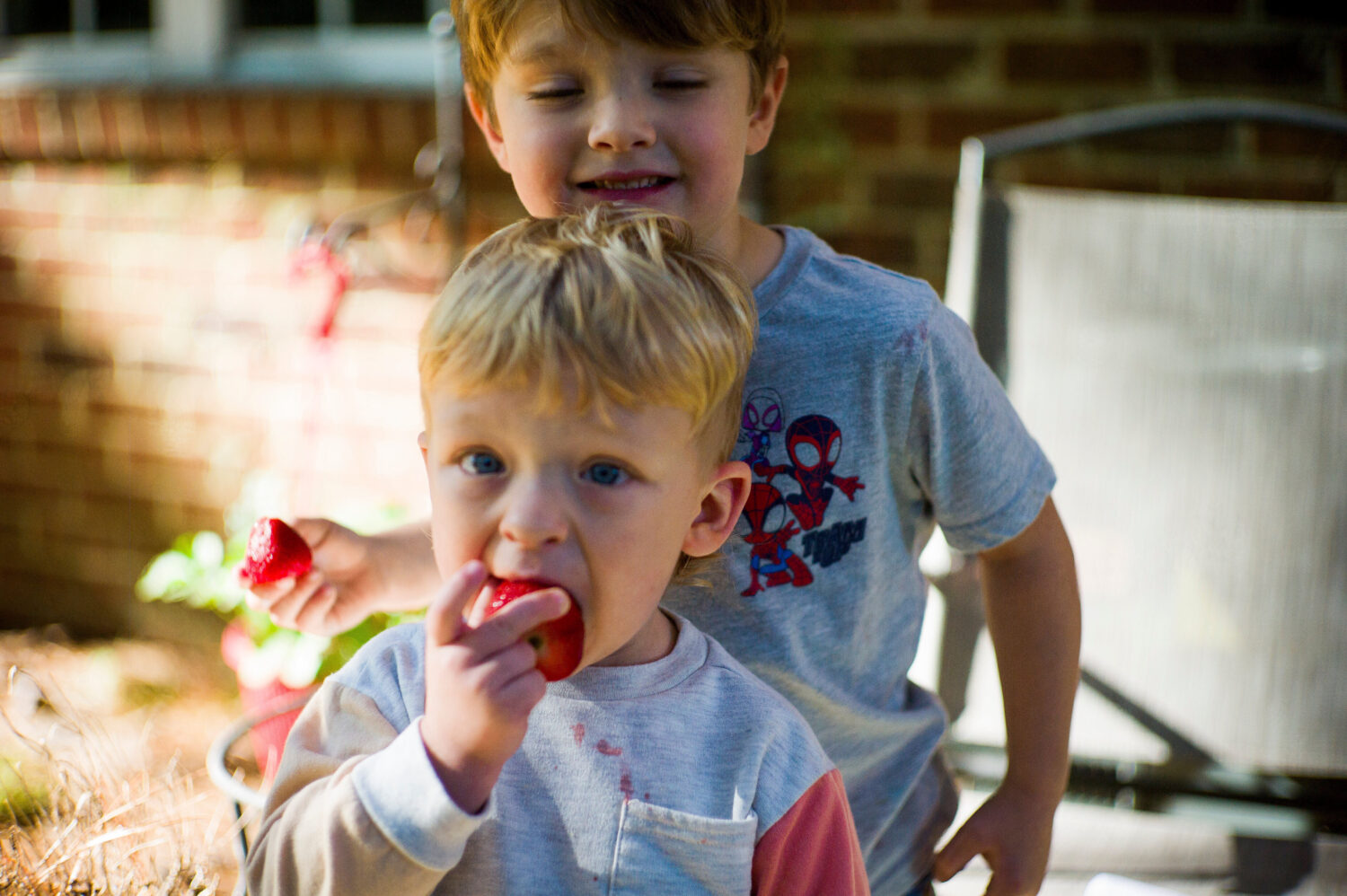 Taylor Moyer's two youngest boys Colton, 4, behind, and Bradley, 2, eat strawberries at home, Sunda...