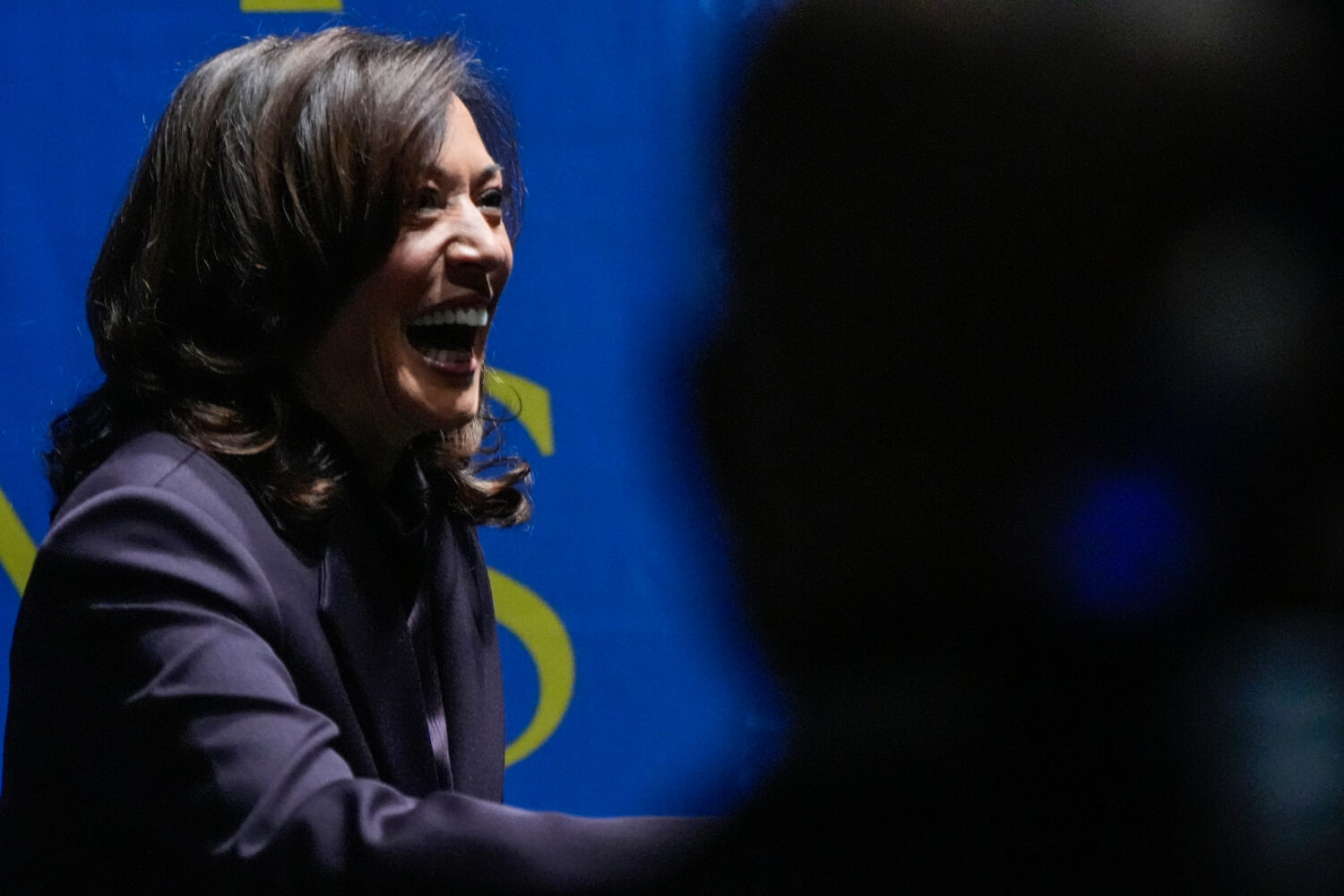 Former Vice President Kamala Harris greets people before she speaks, Friday, Oct. 17, 2025, in Birm...