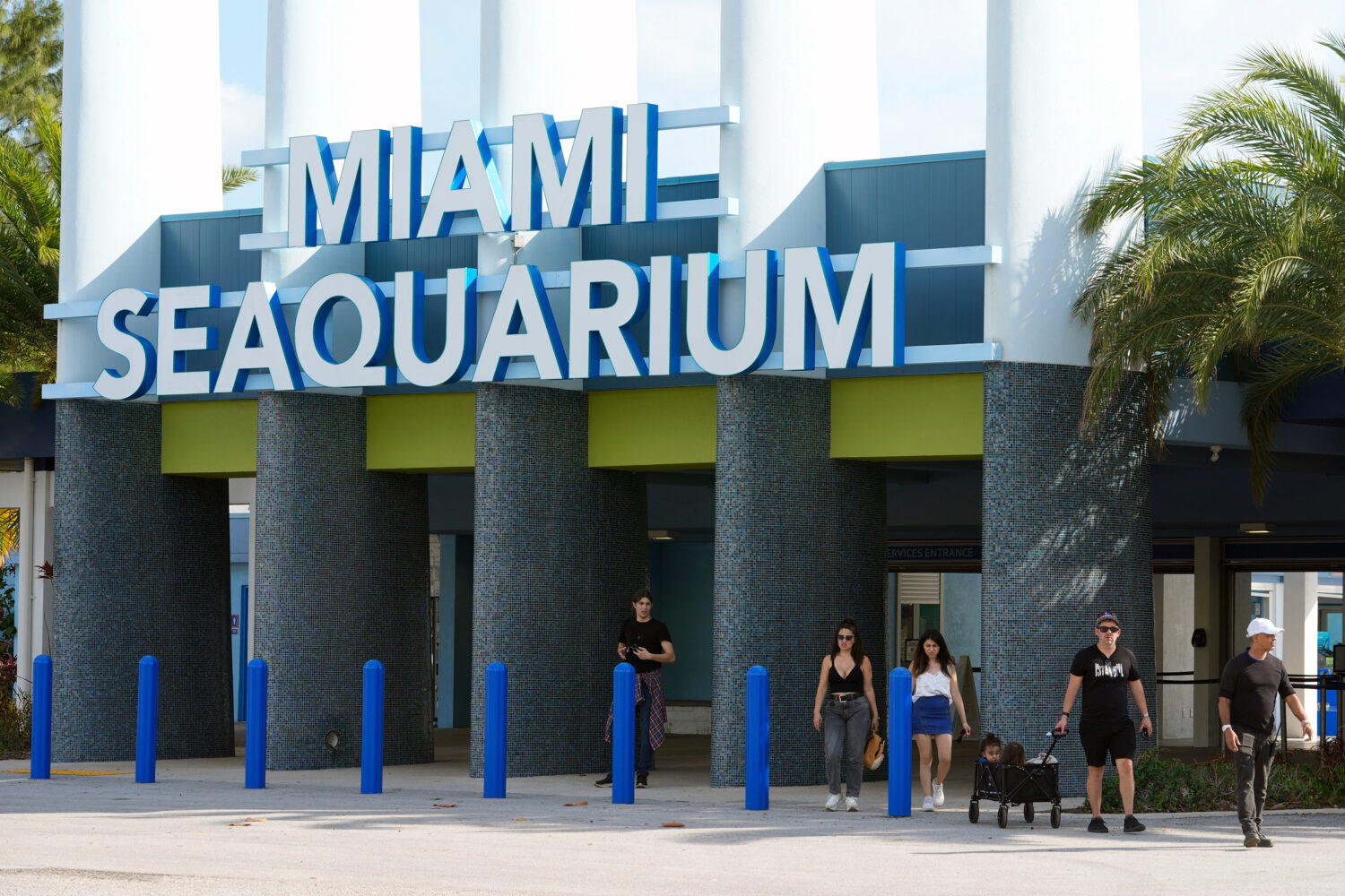 FILE - Visitors exit the Miami Seaquarium, March 7, 2024, in Key Biscayne, Fla. (AP Photo/Marta Lav...