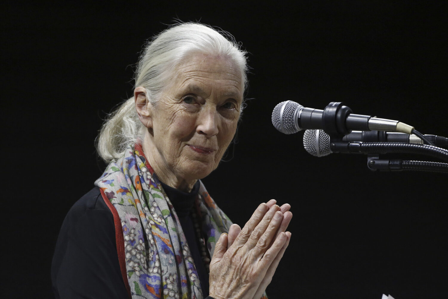 FILE - Primatologist and conservationist Jane Goodall delivers the 50th George Gamow Memorial Lectu...