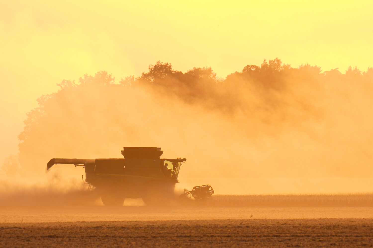 Soybeans are harvested on the Warpup Farm in Warren, Ind., Wednesday, Sept. 17, 2025. (AP Photo/Mic...
