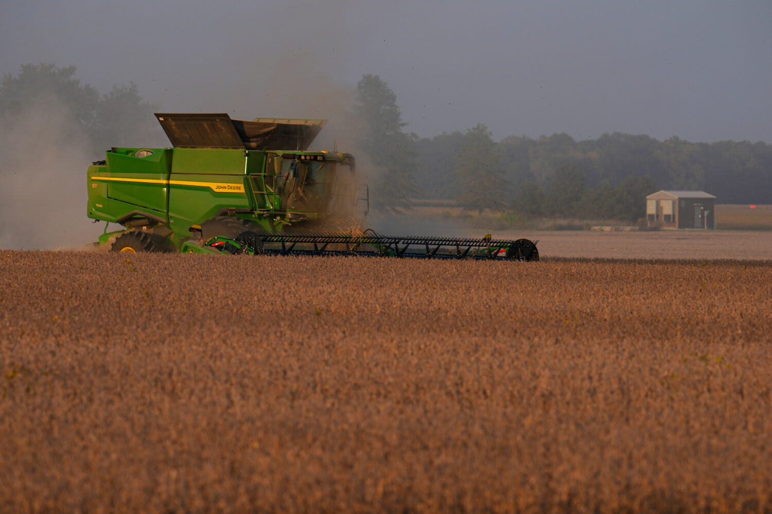 Soybeans are harvested on the Warpup Farm in Warren, Ind., Wednesday, Sept. 17, 2025. (AP Photo/Mic...