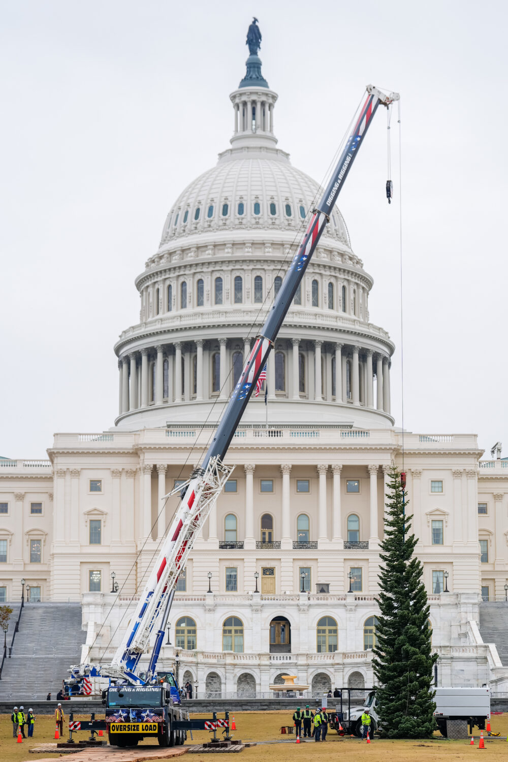 The Capitol Christmas Tree, a 53-foot red fir, arrives to the U.S. Capitol from the Humboldt-Toiyab...