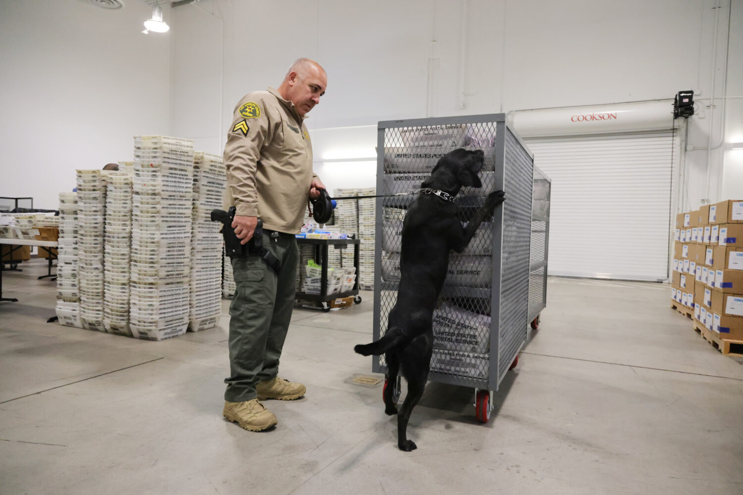 FILE - A sheriff's deputy inspects ballots with the aid of a dog at the L.A. County Ballot Processi...
