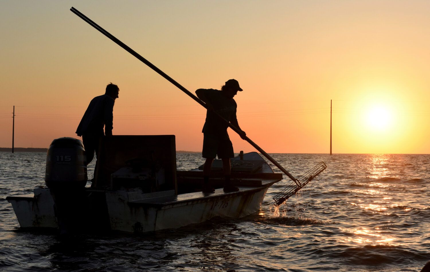 FILE - The work day begins early for oyster harvesters on May 25, 2016, in the Florida panhandle's ...