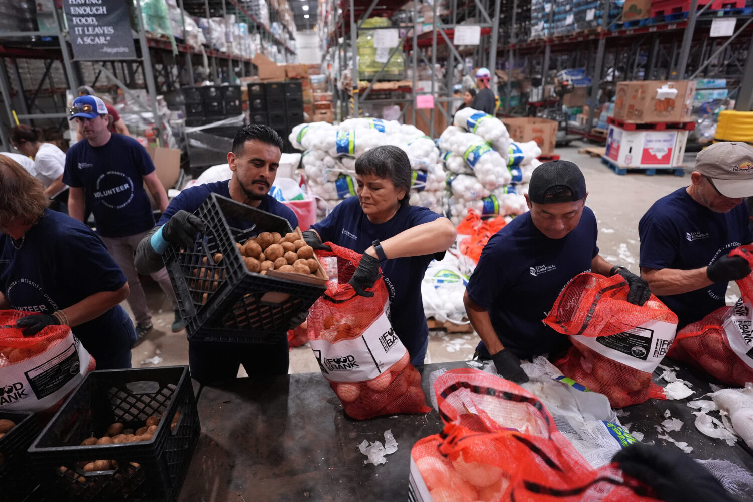 Volunteers at the San Antonio Food Bank load bags of potatoes for a food distribution for SNAP reci...