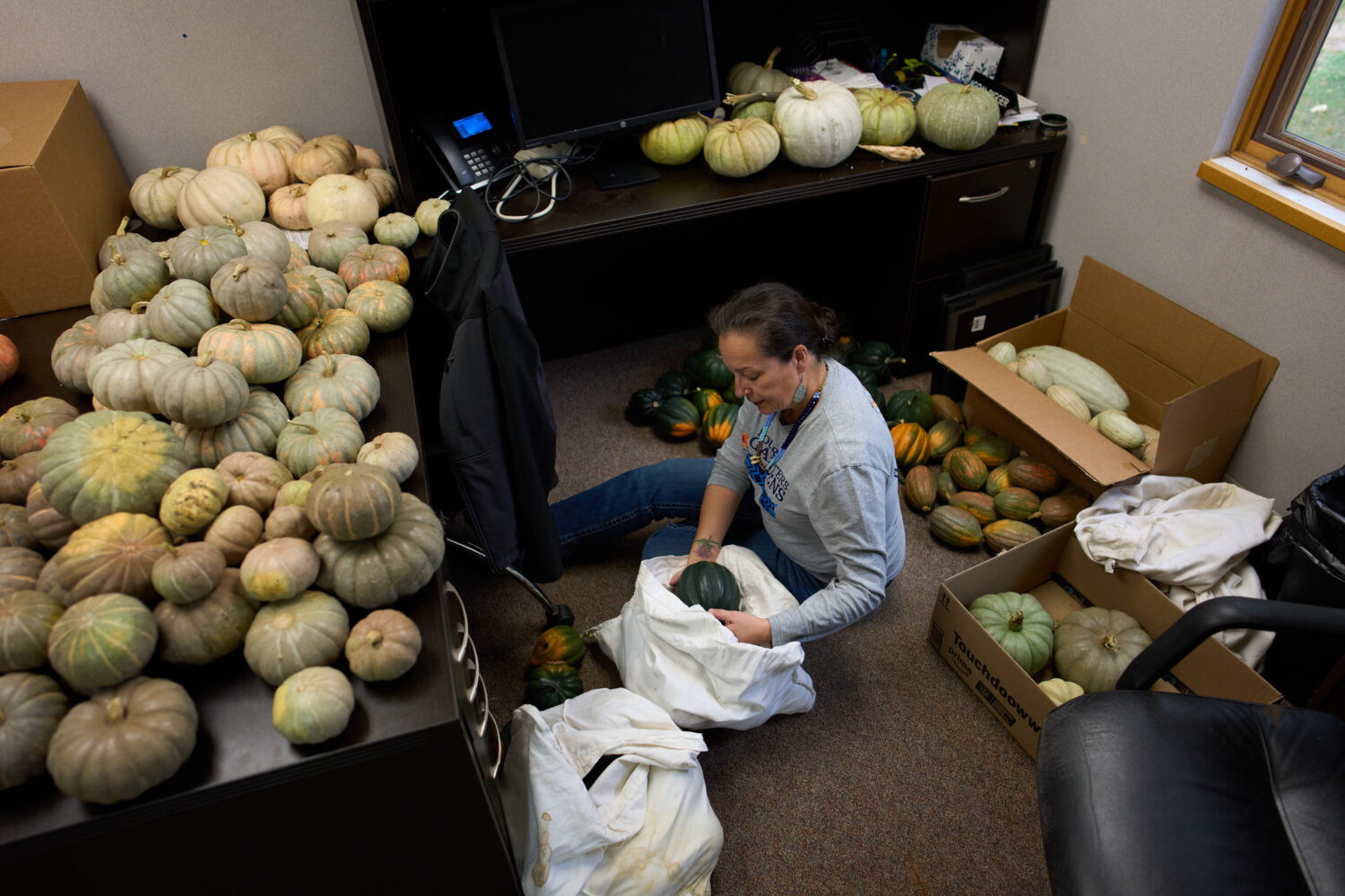 Ruth De La Cruz, food sovereignty director at Nueta Hidatsa Sahnish College, sorts through squash i...