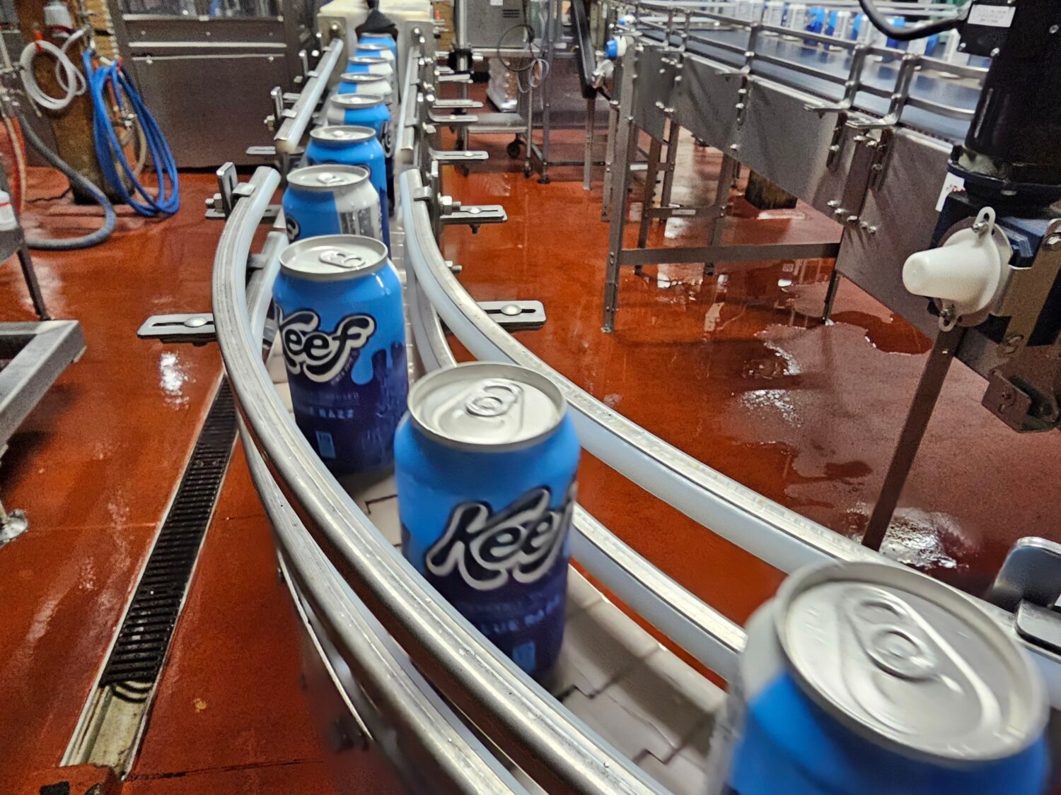Cans of seltzer containing THC, the active ingredient in marijuana, speed down the canning line at ...