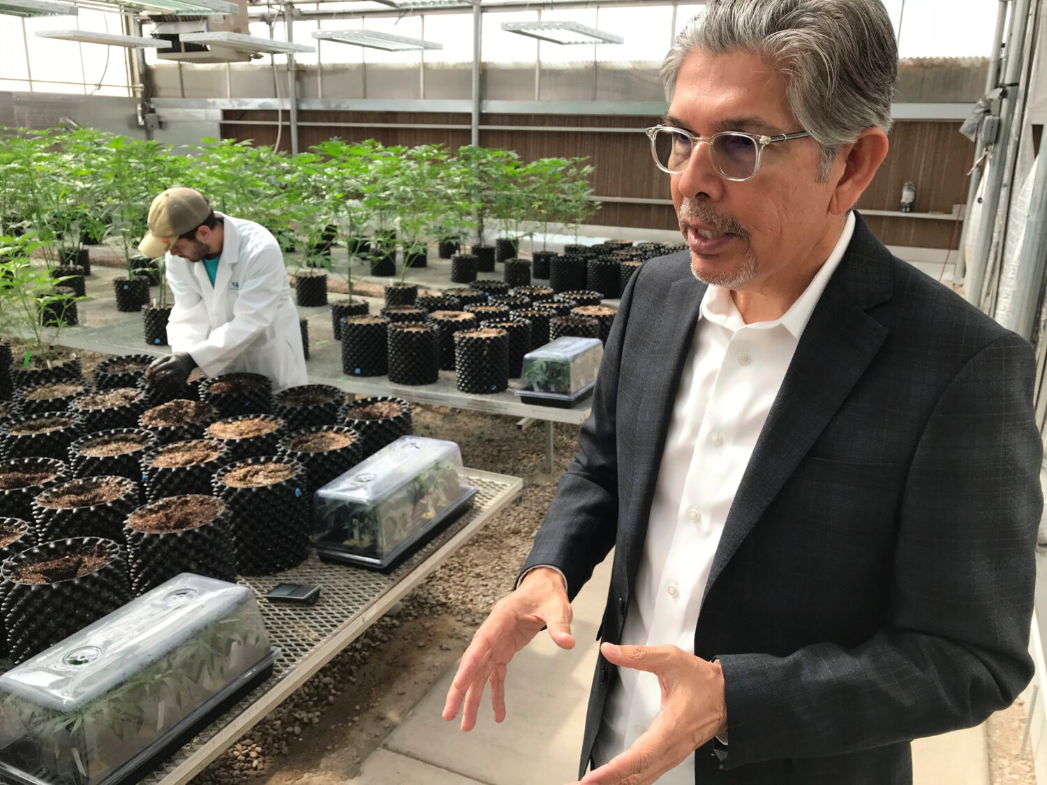FILE - Ultra Health president and chief executive officer Duke Rodriguez discusses the medical mari...