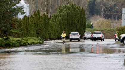 Levee breach triggers flash flood warning and evacuations south of Seattle