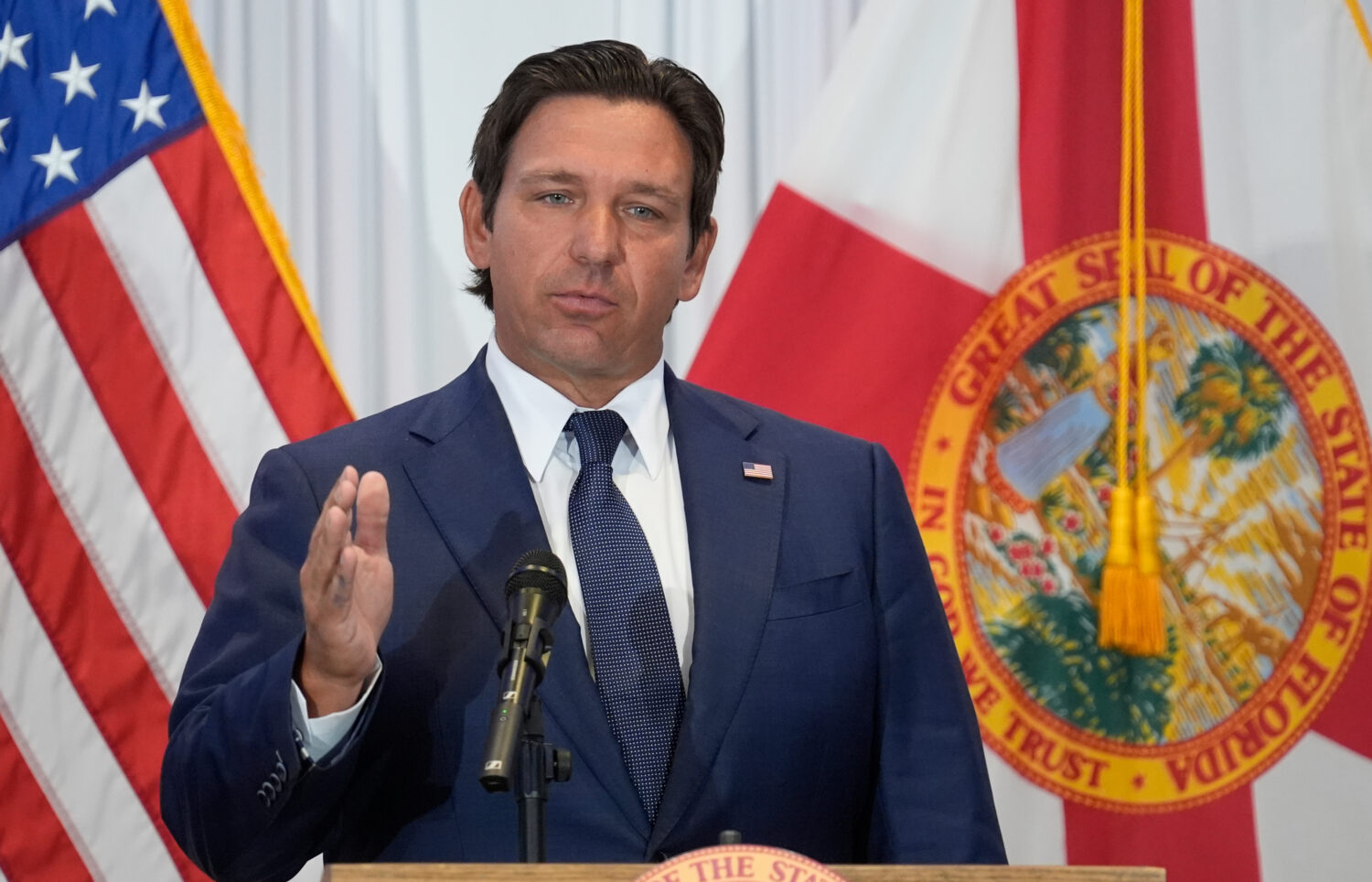 FILE - Florida Gov. Ron DeSantis speaks during a news conference Aug. 12, 2025, in Tampa, Fla. (AP ...
