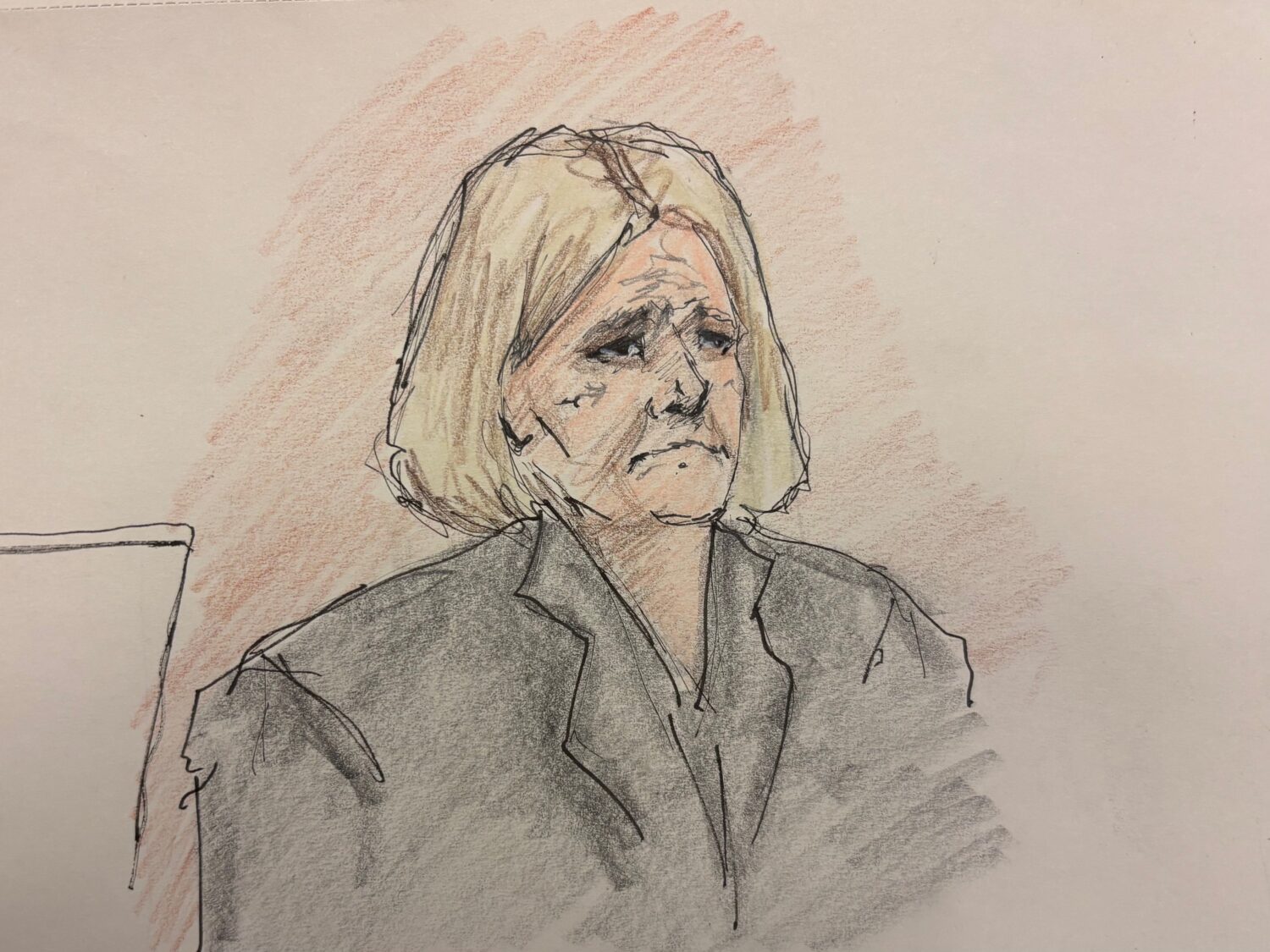 This courtroom sketch depicts Judge Hannah Dugan during the closing arguments at her trial in court...