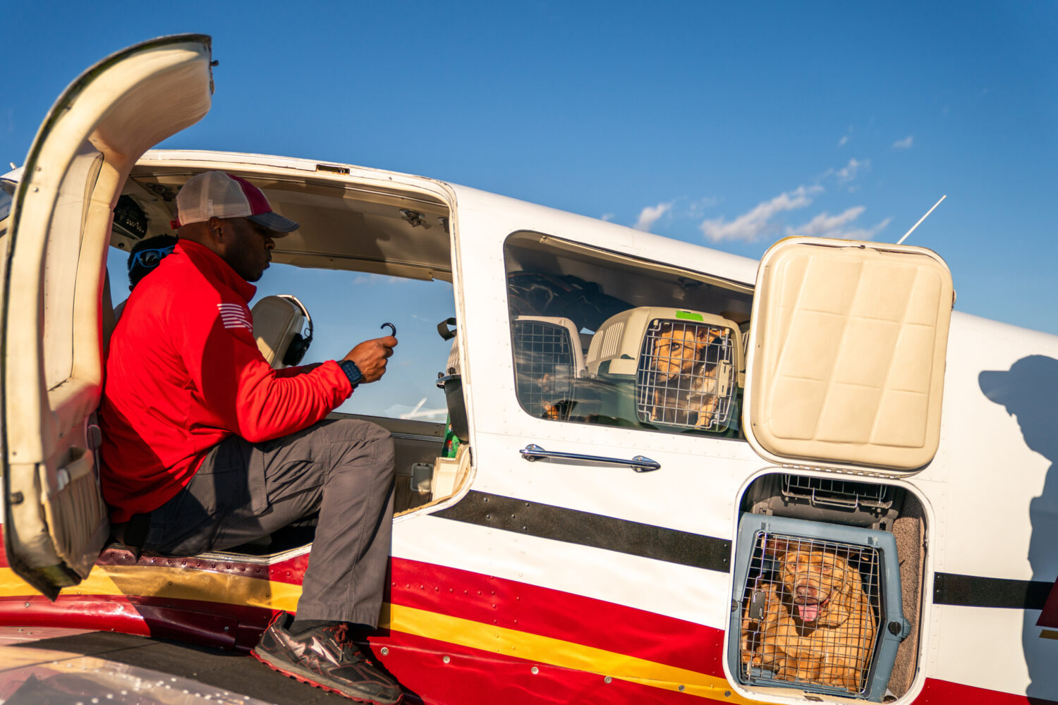 Seuk’s Army volunteer pilot CJ Owens secures crates holding shelter pets to be flown to foster an...