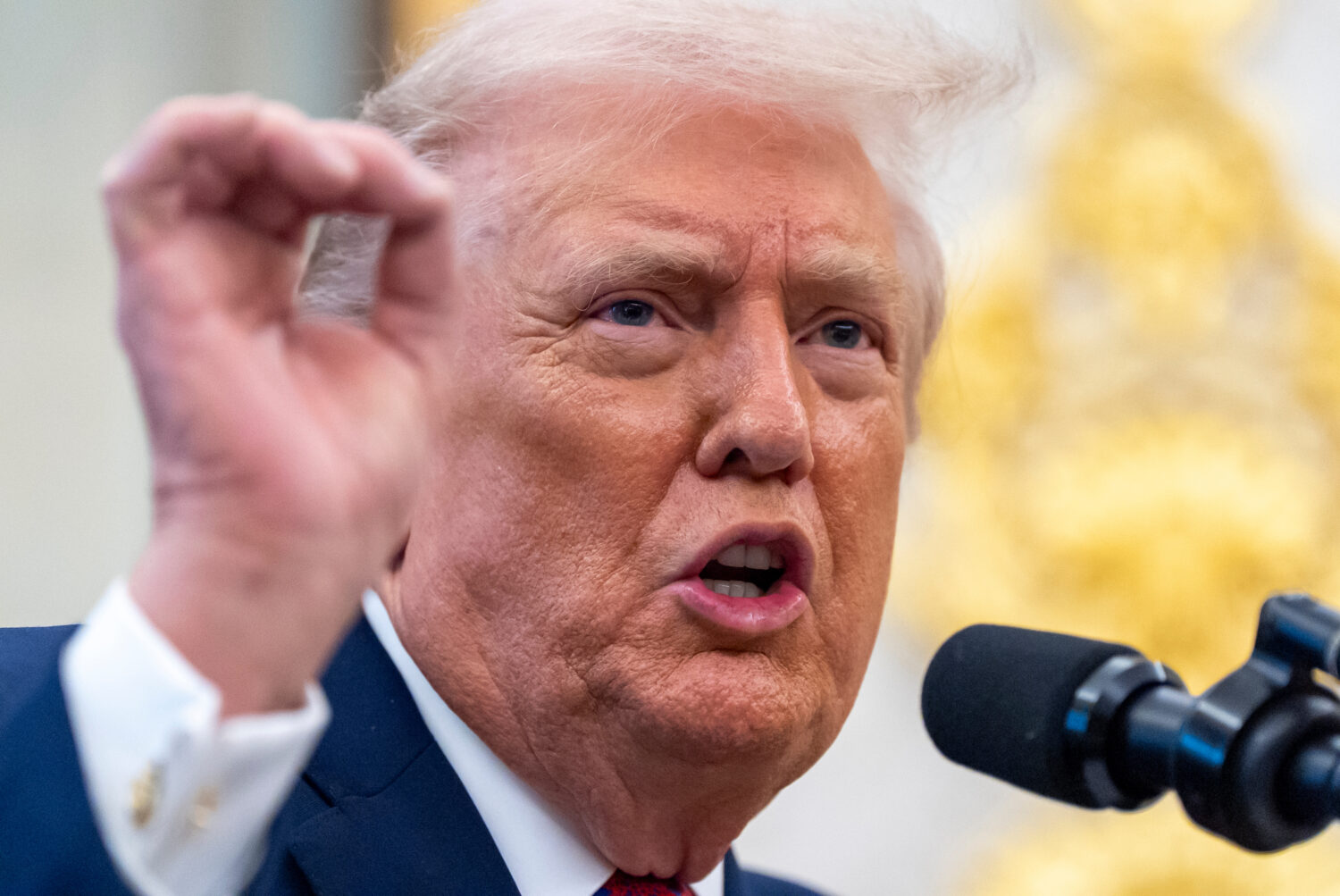 President Donald Trump speaks during a Mexican Border Defense Medal presentation in the Oval Office...