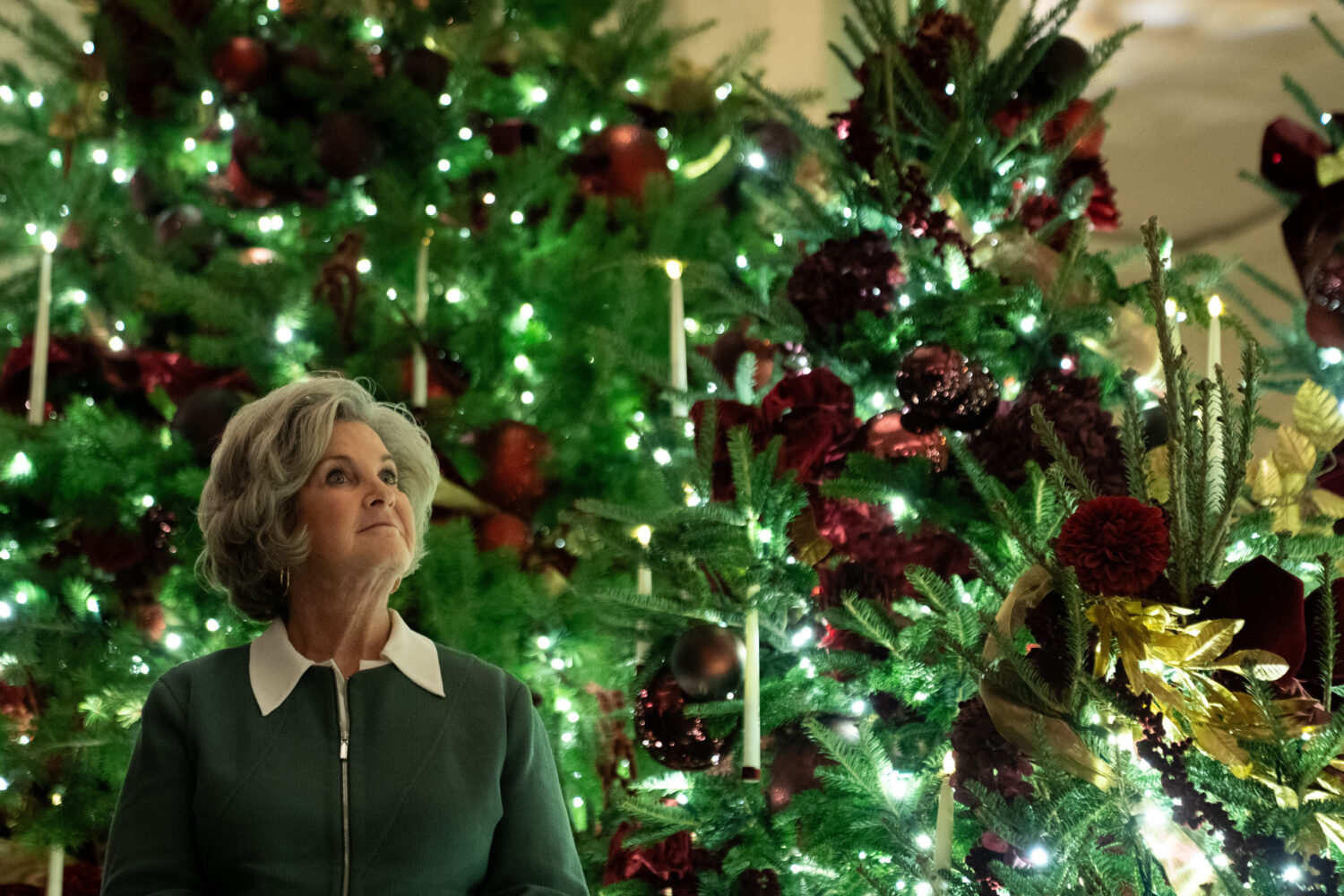 White House Chief of Staff Susie Wiles looks up surrounded by Christmas Trees at the White House, F...