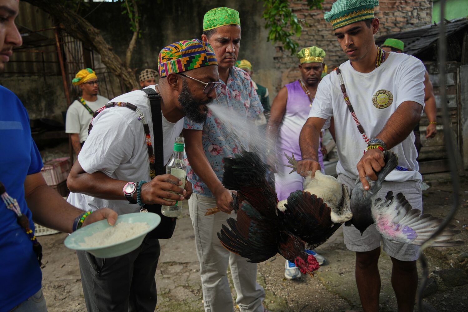 Santeria priests, also known as Babalawos, perform a cleansing ritual with roosters during a ceremo...