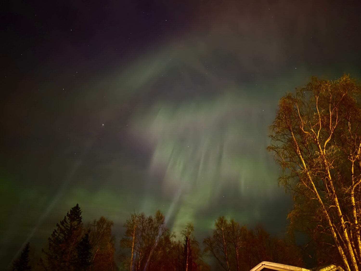 The northern lights illuminate the sky over Anchorage, Alaska, Tuesday, Jan. 20, 2026. (AP Photo/Ma...