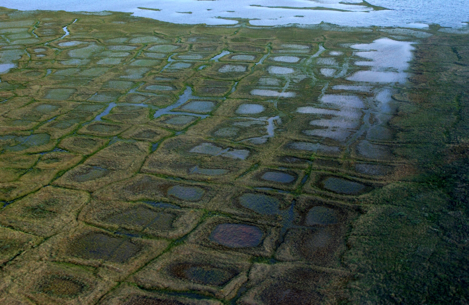 FILE - In this undated photo provided by the United States Geological Survey, permafrost forms a gr...