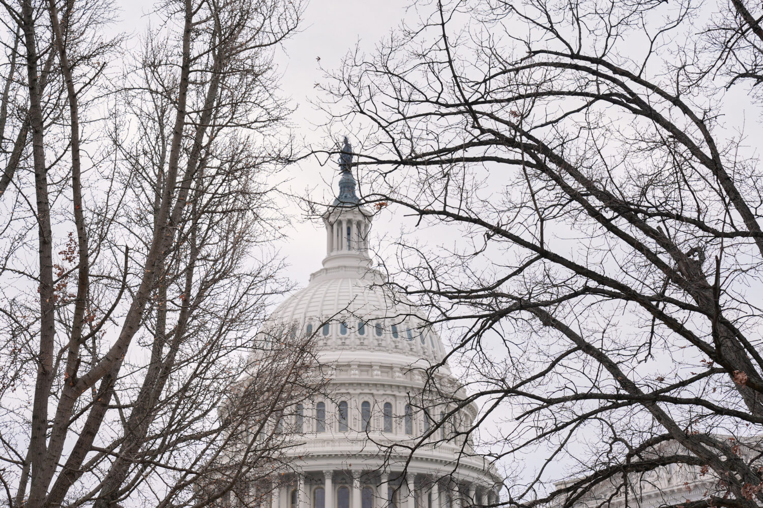 The U.S. Capitol is photographed, Monday, Jan. 5, 2026, in Washington. (AP Photo/Mariam Zuhaib)Cred...