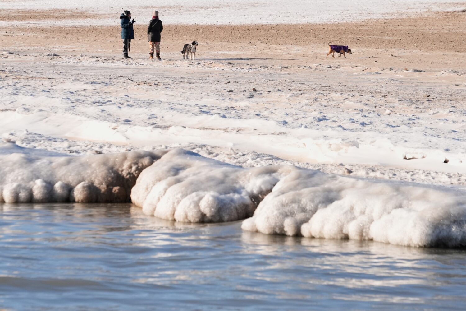 Ice forms along the Lake Michigan shore as People walk their dogs on a beach, Tuesday, Jan. 20, 202...