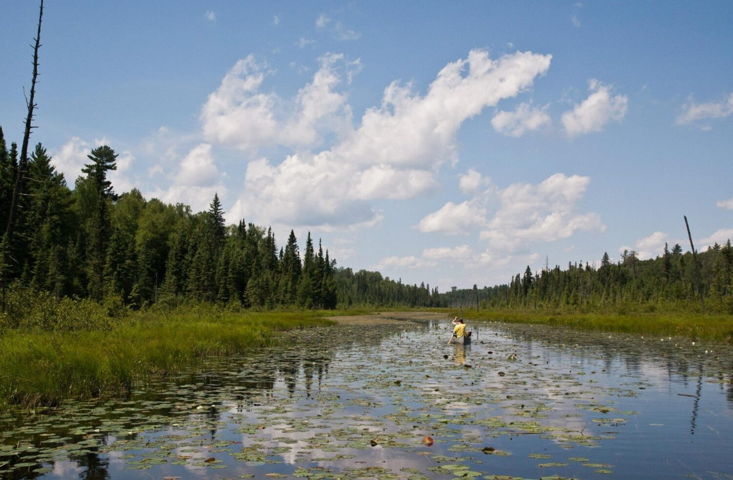 In this undated image provided by Minnesota Public Radio, Sept. 2, 2016, canoeists navigate the Poc...