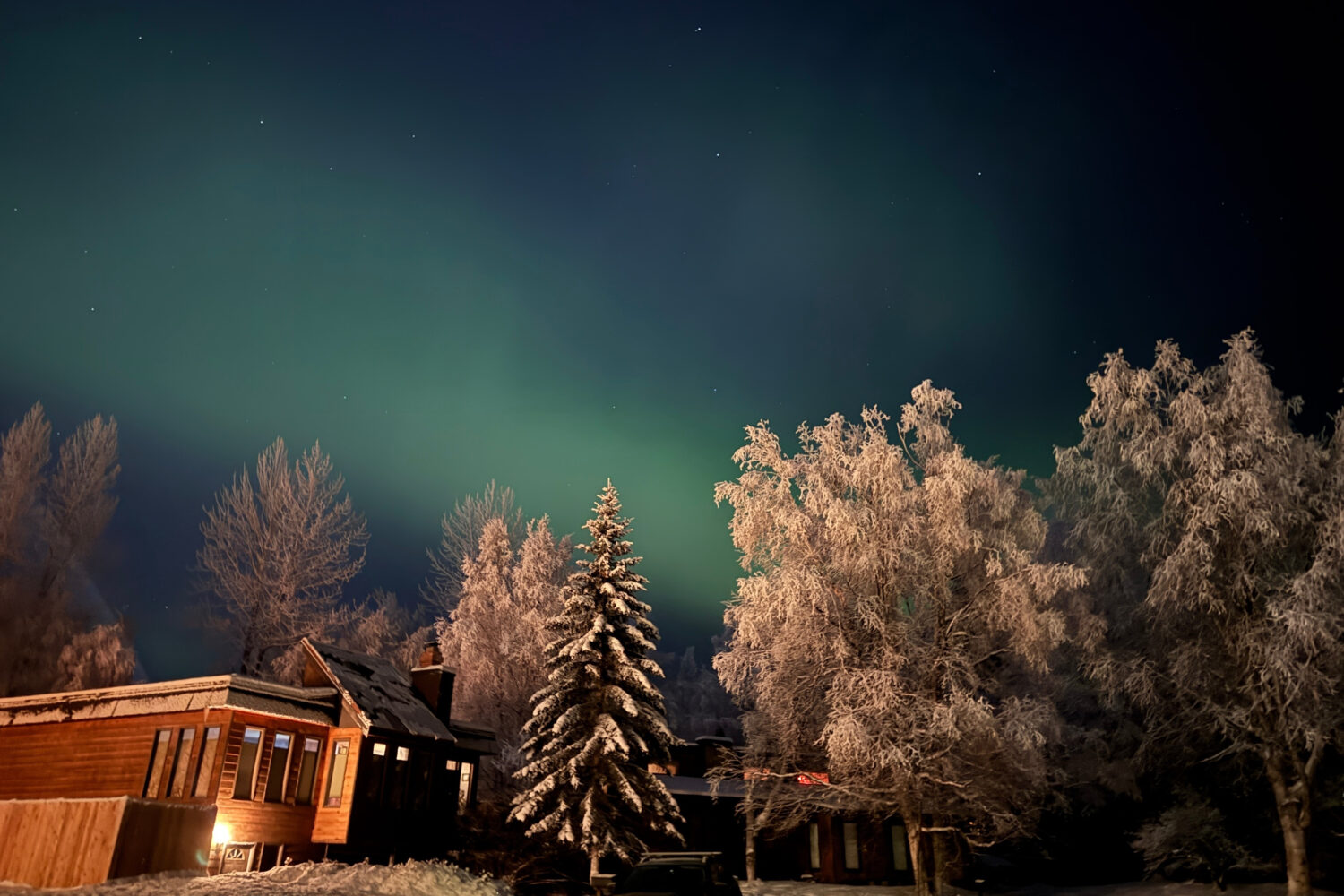 FILE - The northern lights glow behind trees covered in hoarfrost over Anchorage, Alaska, Nov. 25, ...