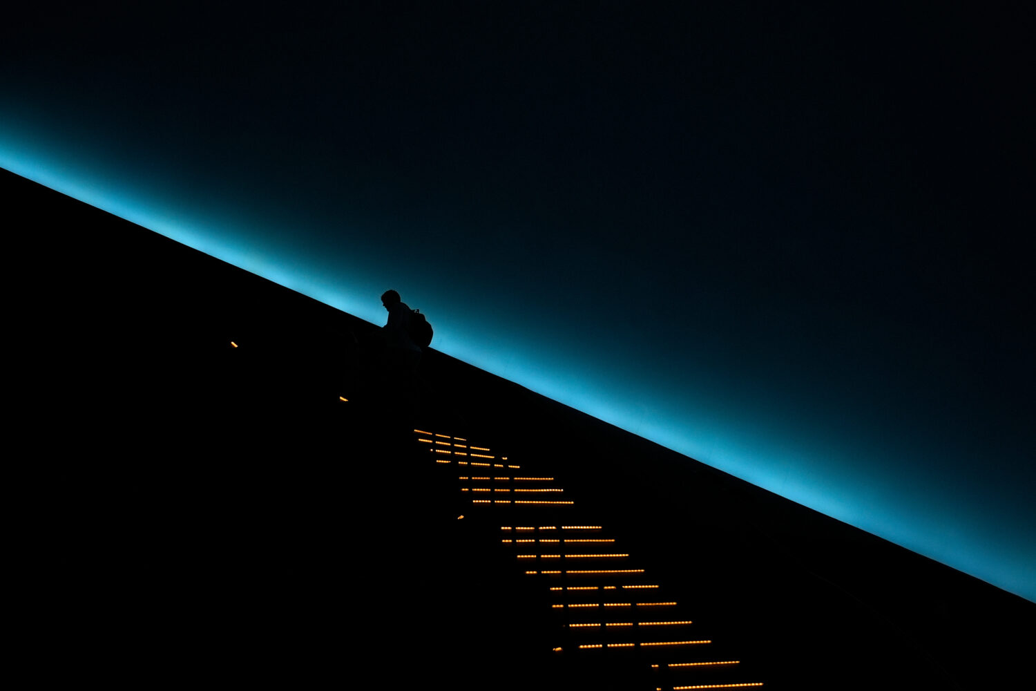 A patron climbs to their seat before a viewing of "Ohio: Wild at Heart" film that features the stat...