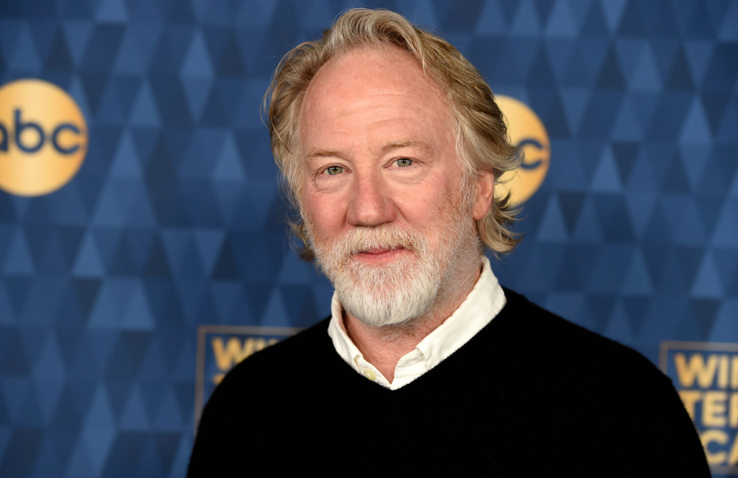 FILE - Timothy Busfield appears at the 2020 ABC Television Critics Association Winter Press Tour in...