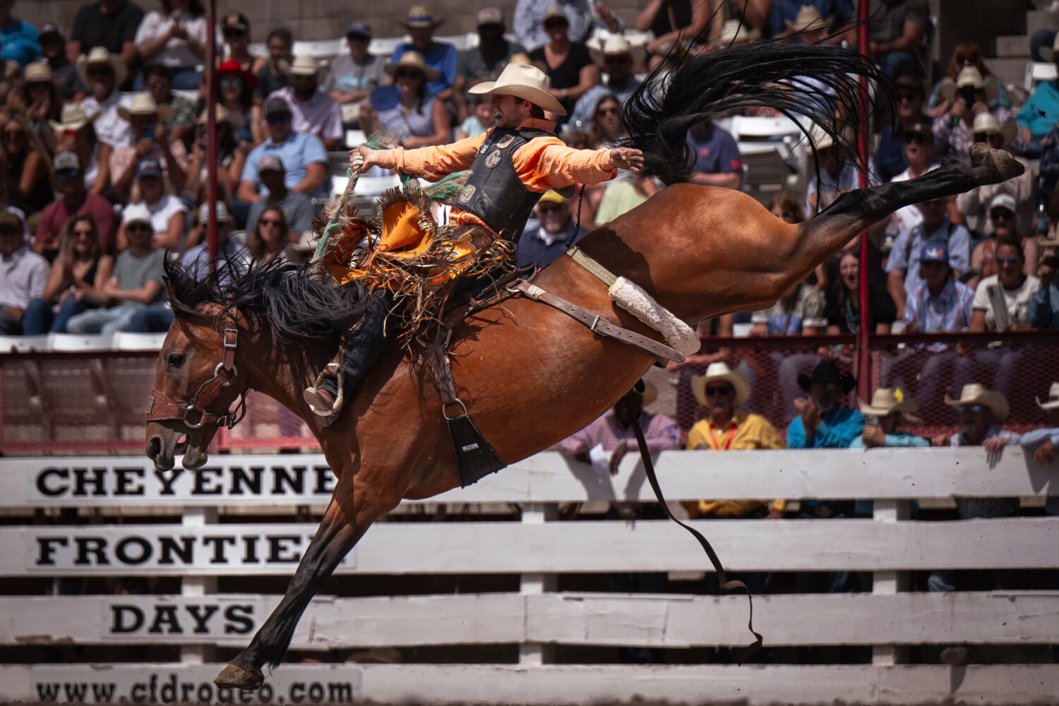 FILE - Brody Cress, of Hillsdale, Wyo., competes in saddle bronc riding during the 129th anniversar...