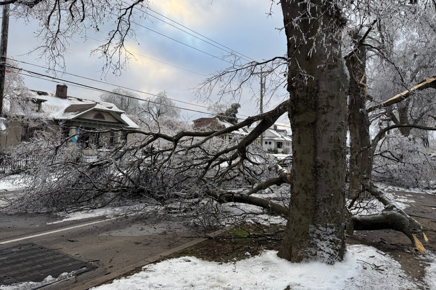 A tree blocks the road days after an ice storm in Nashville, Tenn., on Tuesday, Jan. 27, 2026. (AP ...