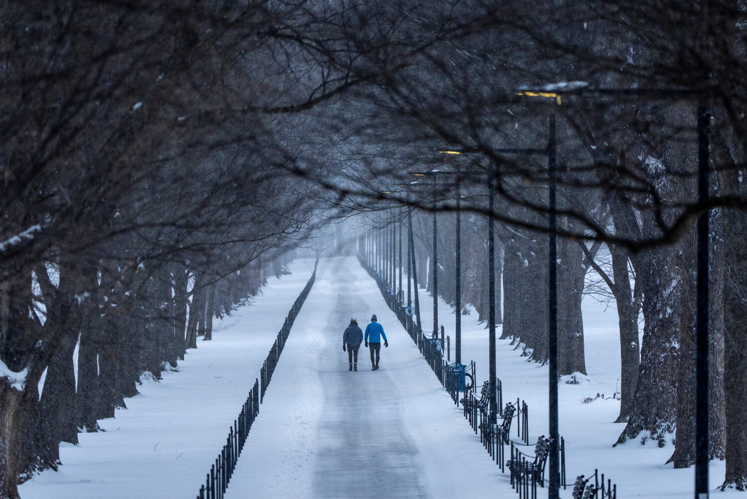 Two people walk along the National Mall as snow falls, Sunday, Jan. 25, 2026, in Washington. (AP Ph...
