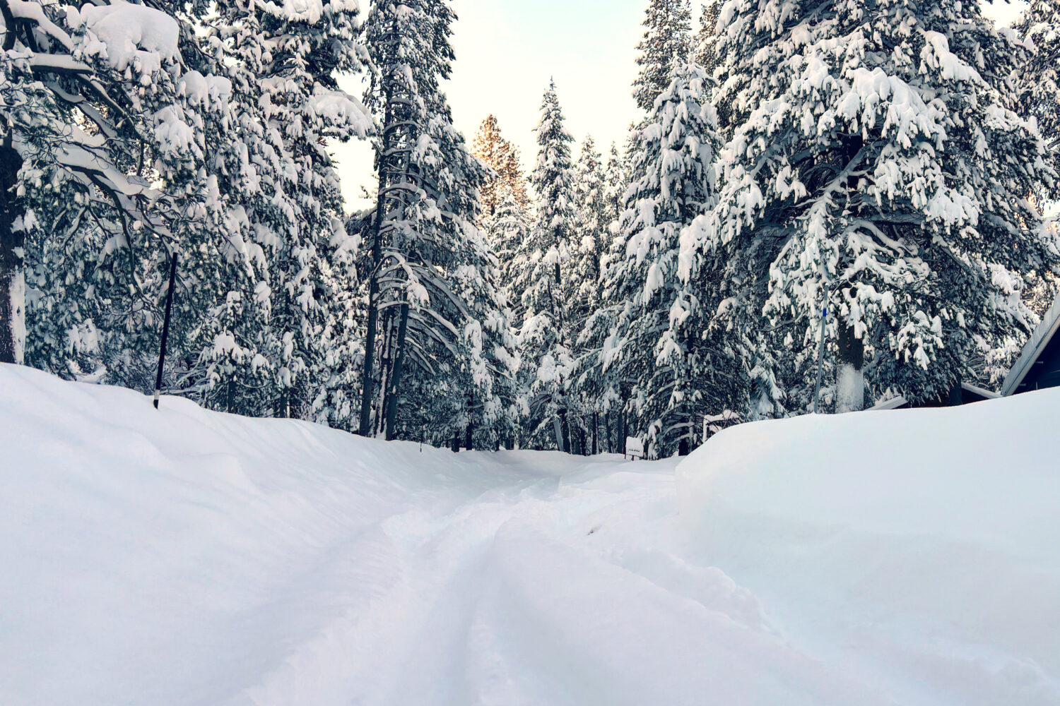 A street is covered in snow on Wednesday, Feb. 18, 2026 in Truckee Calif. (AP Photo/Brooke Hess-Hom...