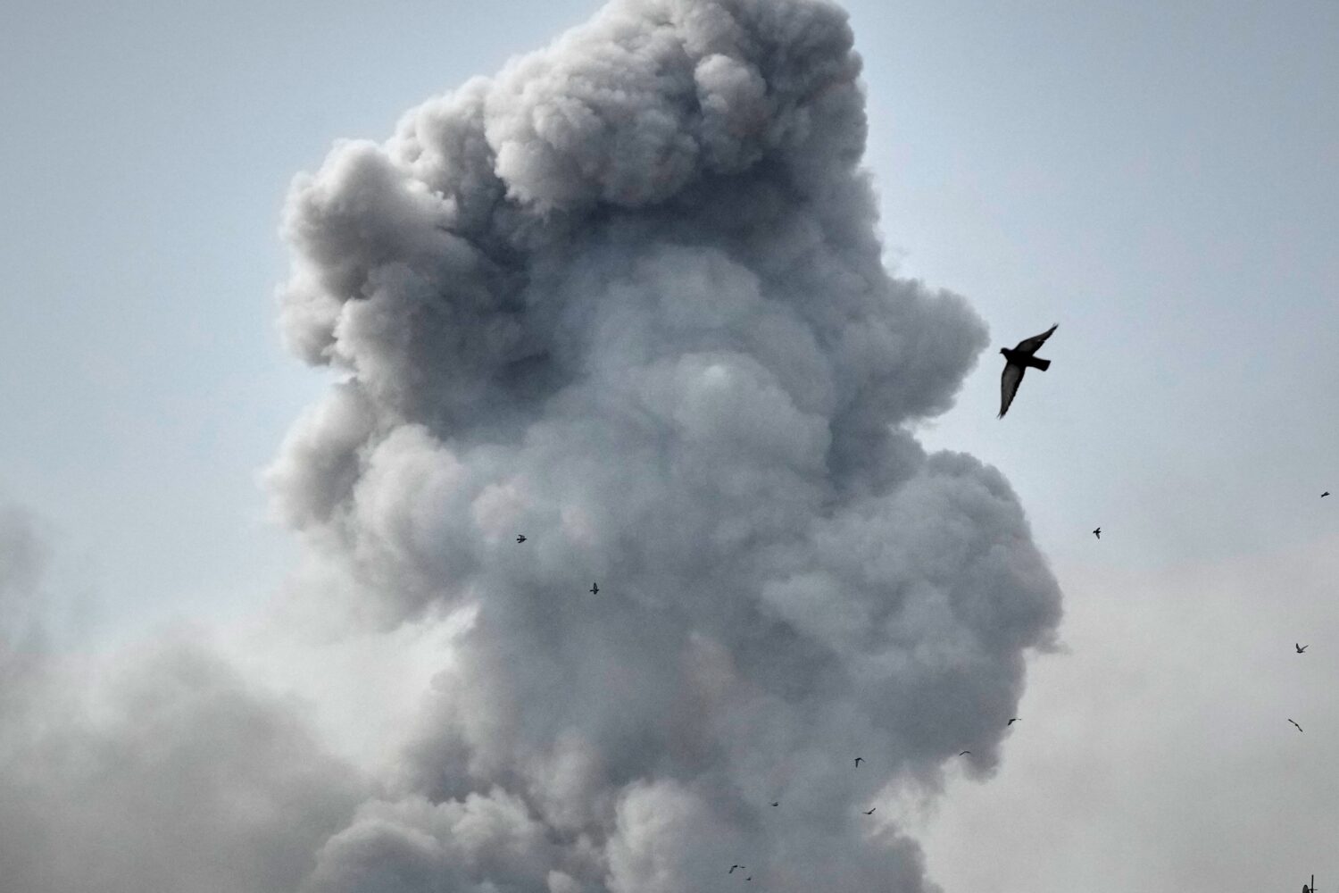 A bird flies by a plume of smoke rising after a strike in Tehran, Iran, Monday, March 2, 2026. (AP ...