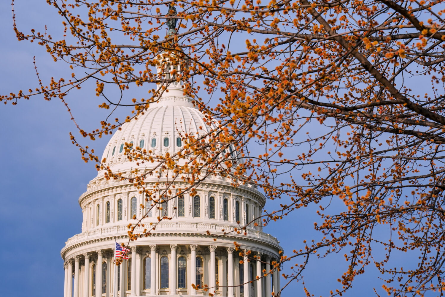 The U.S. Capitol photographed Wednesday, March 11, 2026, in Washington. (AP Photo/Mariam Zuhaib)Cre...