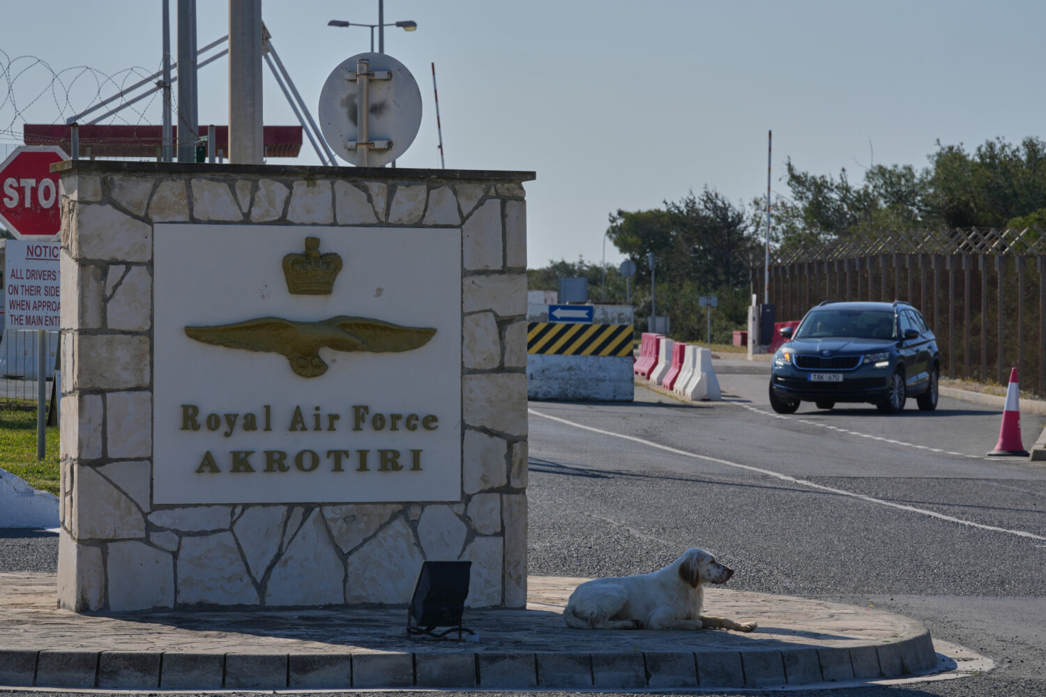 A dog sits at the main gate of the U.K.’s RAF Akrotiri air base after it was hit by a drone strik...