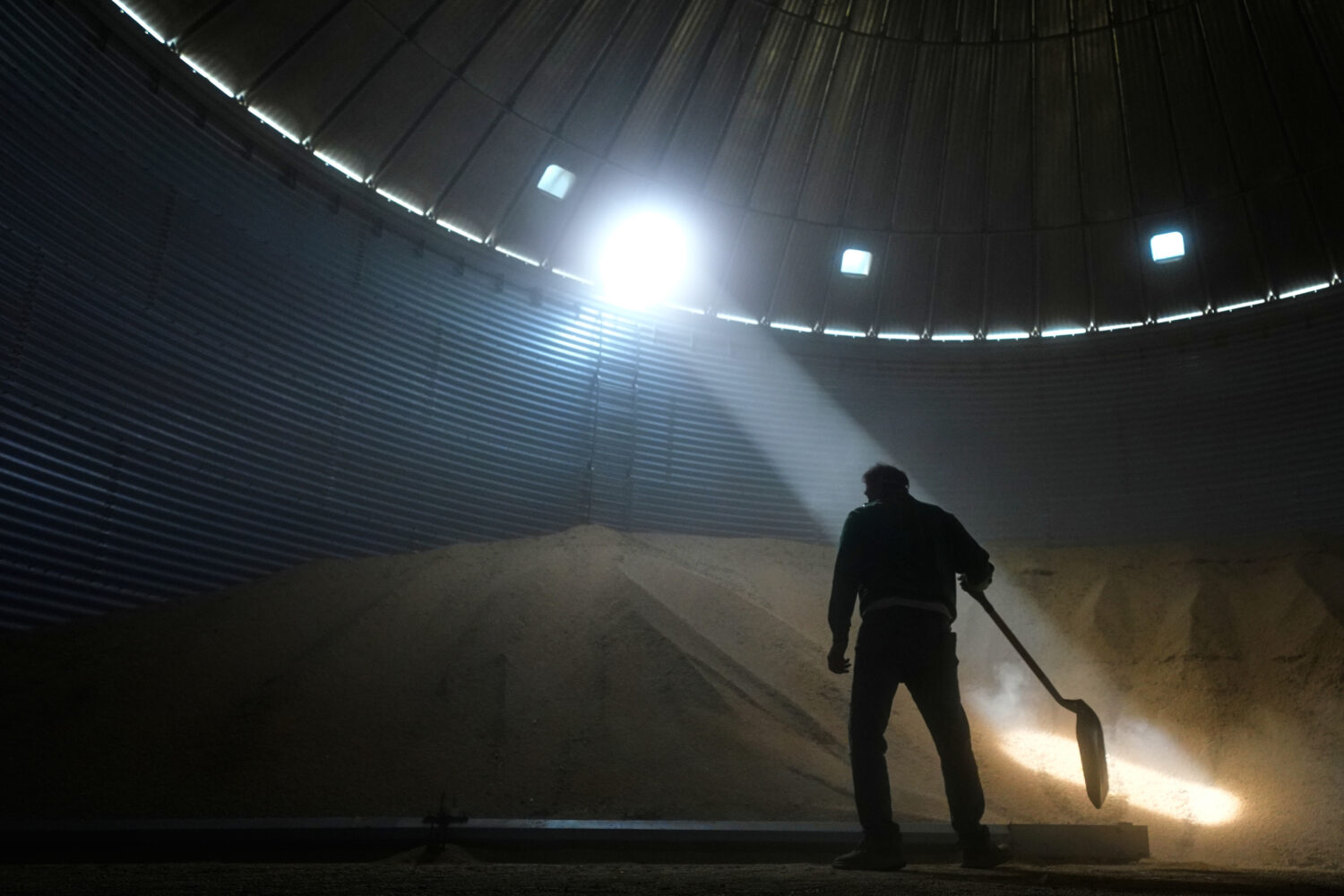 Doug Bartek shovels soybeans in a bin on his farm near Wahoo, Neb., on Monday, April 6, 2026. (AP P...