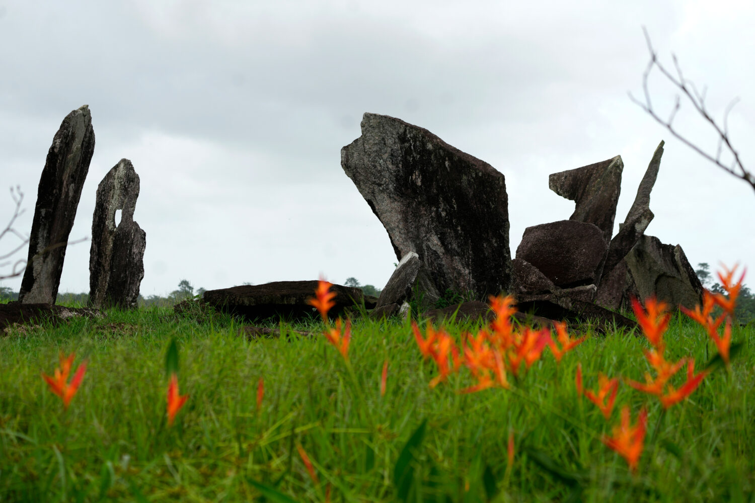 Grass and flowers surround the Archaeological Park of the Solstice, which some call the "Stonehenge...