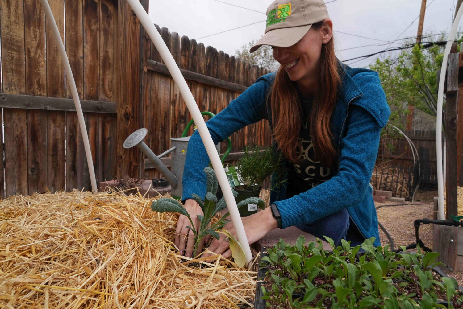 Heather Grady plants a kale seedling in her yard Thursday, April 9, 2026, in Denver. (AP photo/Brit...