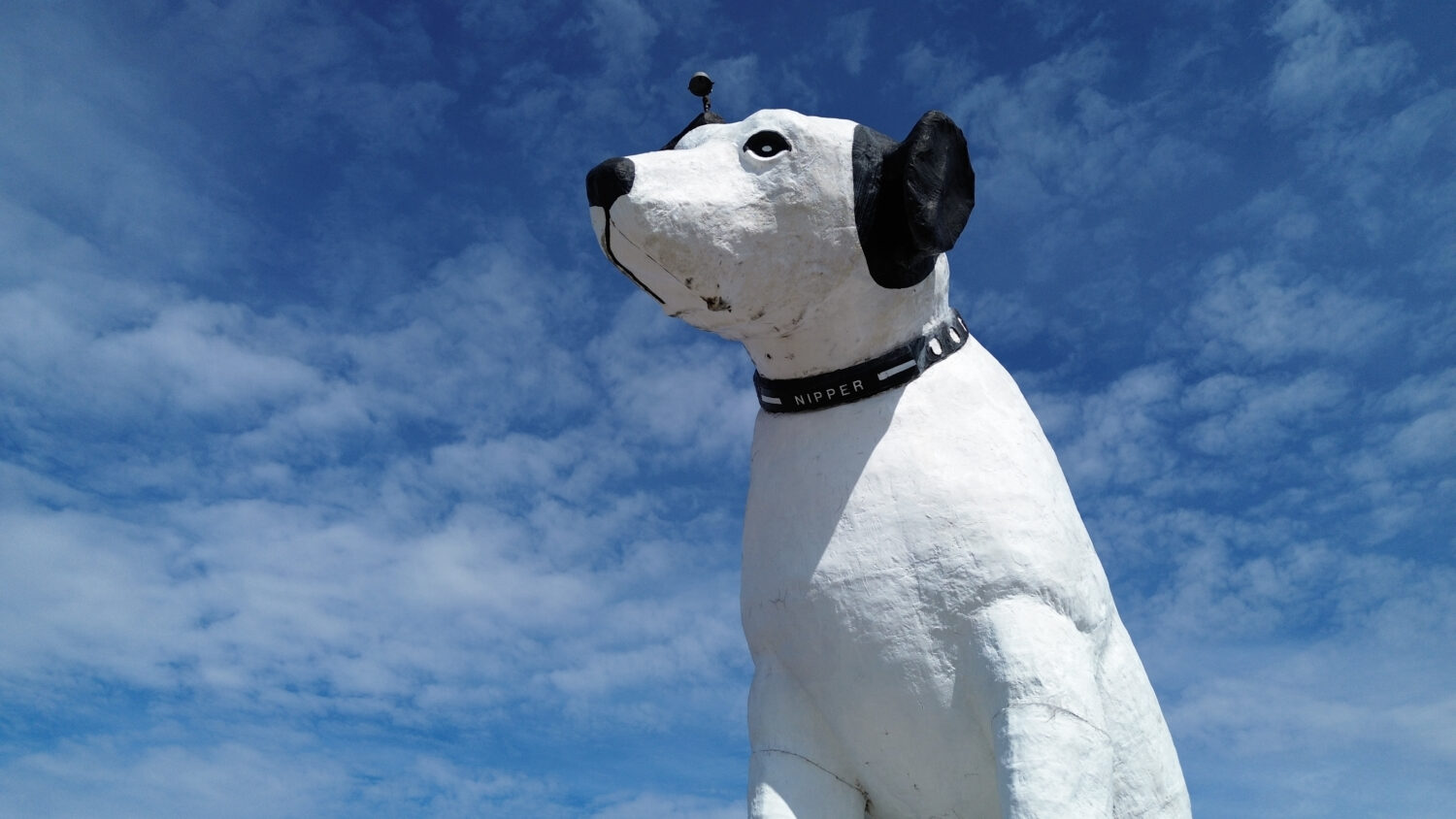 A giant statue of Nipper the dog sits atop a building in the warehouse district in Albany, N.Y., Tu...