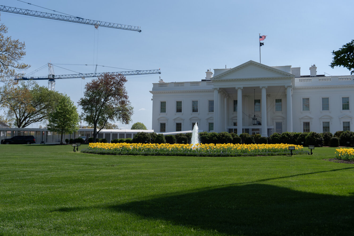 Cranes being used to construct the new White House ballroom are seen around the White House, Saturd...
